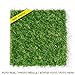 foto Leoturf LEO30 Premium erba artificiale di alta qualità 30mm / Altezza 30mm/ 100% Confezionamento Europeo/Combinazione di 4 fili colorati TENCATE GRASS/Rotolo di 1M X 5M.