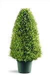 National Tree Company Artificial Shrub | Includes Pot Base | Upright Juniper - 30 Inch Photo, best price $147.01 new 2024