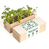 Resetea Minihuerto de hierbas aromáticas Foto, mejor precio 16,34 € nuevo 2024