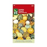 Calabazas ornamentales mezcla de frutos pequeños - semillas de flores Foto, mejor precio 4,45 € nuevo 2024