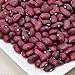 foto Fagioli, fagioli rossi piccoli, messicano del fagiolo rosso/Chili Beans, Heirloom (Bush) 200 semi