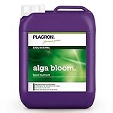 Fertilizzante bio Alga Bloom fioritura 5L – Plagron foto, miglior prezzo EUR 56,00 nuovo 2024
