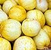 foto Farmerly 30 Organic Lemon cetriolo Semi Heirloom Non-GMO croccante dolce fragrante gialle