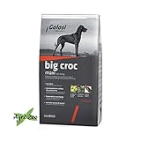 GOLOSI DOG - BIG CROC MAXI 12 Kilogramm crocchette per cani di taglia grande foto, miglior prezzo EUR 29,25 nuovo 2024