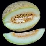 Portal Cool 10 - Semi: semi di melone Charlynne - Molto dolce, cremoso e aromatico, morbido e succoso. !!!! foto, miglior prezzo EUR 9,99 nuovo 2024