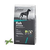 GOLOSI DOG - al pesce per cani di tutte le taglie 12 Kilogramm foto, miglior prezzo EUR 22,05 nuovo 2024