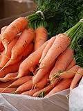 Carote giganti, uniche e gustose, circa 50 semi, ad alto contenuto di carotene, un’esplosione di vitamine foto, miglior prezzo EUR 2,49 nuovo 2024