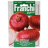 franchi cipolla rossa di Genova foto, miglior prezzo EUR 2,61 nuovo 2024
