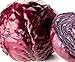 foto Portal Cool Semi Cavolo cappuccio rosso, Acre Rosso, Heirloom Semenza di cavolo, non-OGM Cavolo Seed, 100CT