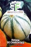 120 C.ca Semi Melone De Charentais - Cucumis Melo In Confezione Originale Prodotto in Italia - Meloni foto, miglior prezzo EUR 7,40 nuovo 2024