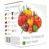 Plant Theatre Wacky Tomatoes Kit - 6 diverse varietà da coltivare - Regalo ideale foto, miglior prezzo EUR 16,99 nuovo 2024