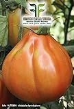 700 C.ca Semi Pomodoro Pearson - Lycopersicum Esculenthum In Confezione Originale Prodotto in Italia - Pomodori foto, miglior prezzo EUR 7,40 nuovo 2024