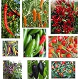 Collezione di semi di peperoncino - 10 confezioni, 10 varietà, 100 semi. foto, miglior prezzo EUR 20,00 nuovo 2024