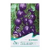 Kofun viola pomodoro verdure semi bella e Vivid Flower verdure piantare semi 20 pezzi/1 borsa, Purple Tomato, 1 Bag foto, miglior prezzo EUR 3,44 nuovo 2024