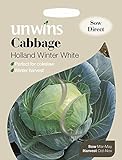 Unwins Pictorial pacco – cavolo Holland Winter bianco – 200 semi foto, miglior prezzo EUR 1,66 nuovo 2024