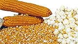 Semi Di Mais Da Pop Corn 50g foto, miglior prezzo EUR 4,40 nuovo 2024