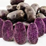 Go Garden 100 Pz viola semi di patata viola patata dolce nutrizione delizioso verdi foto, miglior prezzo  nuovo 2024