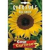 Semi - Girasole Big Smile foto, miglior prezzo EUR 6,35 nuovo 2024