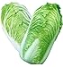foto KINGDUO Semi di Cavolo Delizioso Cinese di 100Pcs Nutriente Verde Verdura Semi di Brassica Piante Giardino