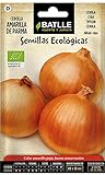 Semi Ecologici - Cipolla Gialla di Parma (210 Seeds - Bio) foto, miglior prezzo EUR 3,90 nuovo 2024