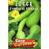 Vivai Le Georgiche Zucca Tromba Di Albenga (Semente) foto, miglior prezzo EUR 3,90 nuovo 2024