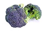 Broccoli Miranda semi - Brassica oleracea foto, miglior prezzo EUR 4,66 nuovo 2024