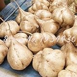 Pinkdose 6 pc/sacchetto di patate dolci Jicama/Yam Bean Giardino Frutta E Verdura Bonsai Pot di trasporto rapida crescita delle piante Cortile foto, miglior prezzo  nuovo 2024