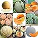 foto Portal Cool 11: 20Pcs / Bag Semi di melone Delicious Melone Seeds Home Garden Plants Fruit Rr6 01
