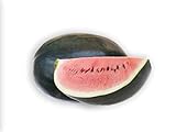 50 Black Diamond Watermelon Seeds for Planting - Heirloom Non-GMO Fruit Seeds for Planting - Grows Big Giant Watermelons Averaging 30-50 lbs Photo, best price $5.99 new 2024