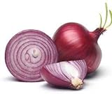 Red Shortday Burgundy Onion Seeds, 300 Heirloom Seeds Per Packet, Non GMO Seeds, Botanical Name: Allium cepa, Isla's Garden Seeds Photo, best price $5.99 ($0.02 / Count) new 2024