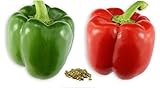 RDR Seeds 100 California Wonder Sweet Pepper Seeds for Planting - Heirloom Non-GMO Pepper Seeds for Planting - Bell Pepper Matures from Green to Red Photo, best price $5.99 ($0.06 / Count) new 2024