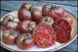 30 semillas CHEROKEE PURPLE Heirloom tomate 2017 (semilla de la herencia vegetal no gmo) Foto, mejor precio 3,99 € nuevo 2024