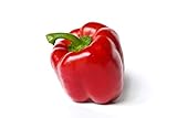 Yolo Wonder L Red Sweet Bell Pepper Seeds, 100 Heirloom Seeds Per Packet, Non GMO Seeds, Botanical Name: Capsicum annuum, Isla's Garden Seeds Photo, best price $5.99 ($0.06 / Count) new 2024