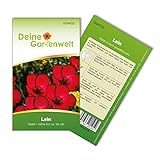 Lein rot Samen - Linum grandiflorum - Leinsamen - Blumensamen - Saatgut für 70 Pflanzen Foto, bester Preis 1,99 € (0,03 € / stück) neu 2024