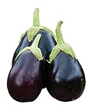 Burpee Early Midnight Eggplant Seeds 35 seeds Photo, best price $8.58 ($0.25 / Count) new 2024