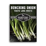 Survival Garden Seeds - Tokyo Long White Onion Seed for Planting - Pack with Instructions to Plant and Grow Asian Green Onions in Your Home Vegetable Garden - Non-GMO Heirloom Variety Photo, best price $4.99 new 2024