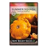 Sow Right Seeds - Yellow Scallop Summer Squash Seed for Planting  - Non-GMO Heirloom Packet with Instructions to Plant a Home Vegetable Garden Photo, best price $4.99 new 2024