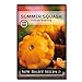 Photo Sow Right Seeds - Yellow Scallop Summer Squash Seed for Planting  - Non-GMO Heirloom Packet with Instructions to Plant a Home Vegetable Garden