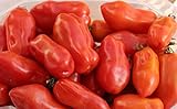 40+ San Marzano Tomato Seeds- Italian Heirloom Variety- Ohio Heirloom Seeds Photo, best price $4.49 new 2024