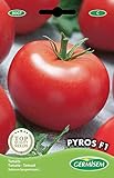 Germisem graines Tomate PYROS F1 Photo, meilleur prix 5,83 € nouveau 2024