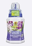COMPO Fertilizante Orquídeas con guano, Para plantas sensibles, 250 ml Foto, mejor precio 3,95 € nuevo 2024