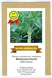 Markstammkohl - vergessenes Gemüse - Brassica oleracea - 2000 Samen Foto, bester Preis 1,95 € neu 2024