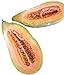 Photo Banana Melon Cucumber Seeds, Exotic and Rare, 120 Heirloom Seeds Per Packet, Non GMO Seeds, Isla's Garden Seeds