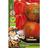 Semillas ecológicas de Tomate Valenciano Foto, mejor precio 4,42 € nuevo 2024