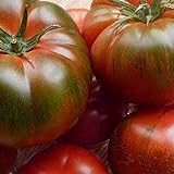 Tomate Muchamiel 25 x Samen aus Portugal 100% natürlich Aufzucht/absolute Rarität/Massenträger (Muchamiel) Foto, bester Preis 2,99 € neu 2024