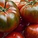 Foto Tomate Muchamiel 25 x Samen aus Portugal 100% natürlich Aufzucht/absolute Rarität/Massenträger (Muchamiel)