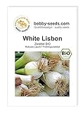 BIO-Zwiebelsamen White Lisbon, Lauchzwiebel Portion Foto, bester Preis 2,45 € neu 2024
