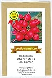 Radieschen - Cherry Belle - schnellwüchsig - früh reifend - köstlich - 200 Samen Foto, bester Preis 1,95 € neu 2024