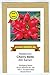 Foto Radieschen - Cherry Belle - schnellwüchsig - früh reifend - köstlich - 200 Samen