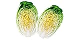 David's Garden Seeds Cabbage Chinese Minuet 8642 (Green) 50 Non-GMO, Hybrid Seeds Photo, best price $4.45 new 2024